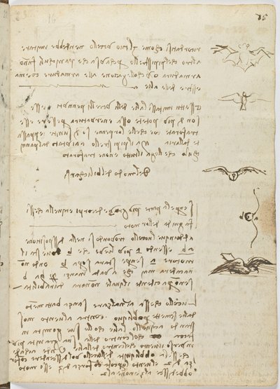 Vogelvluchtcode, c. 1505-06, blad 15 recto door Leonardo da Vinci